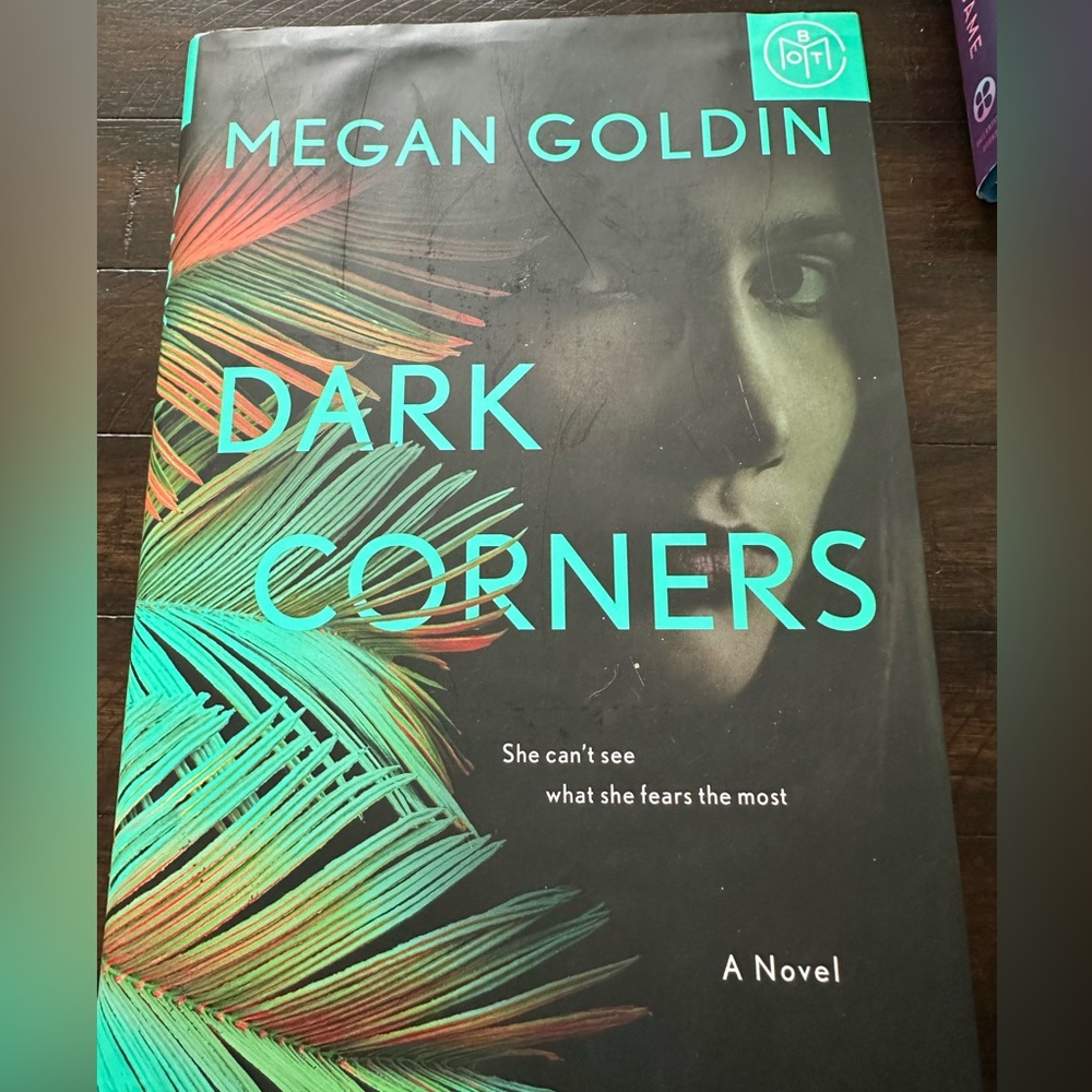 Dark Corners by Megan Goldin Rachel Krall Book 2